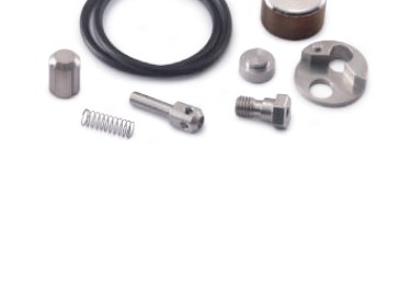 Check Valve Repair Kit (015866-1)